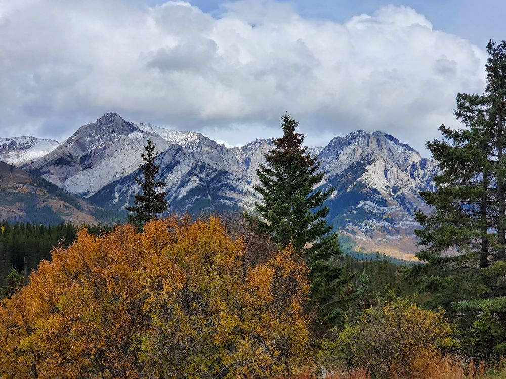 On the road from Banff to Lake Louise, AB.