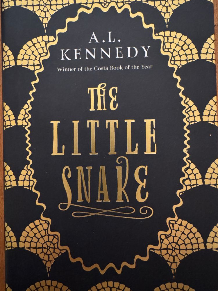 Cover of AL Kennedy’s novella The Little Snake. Hardback version with black background and gold embellishment depicting snake skin. 