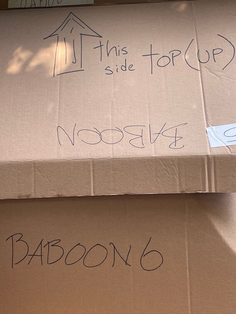 A cardboard box marked Baboon 6 and “This side up” 
