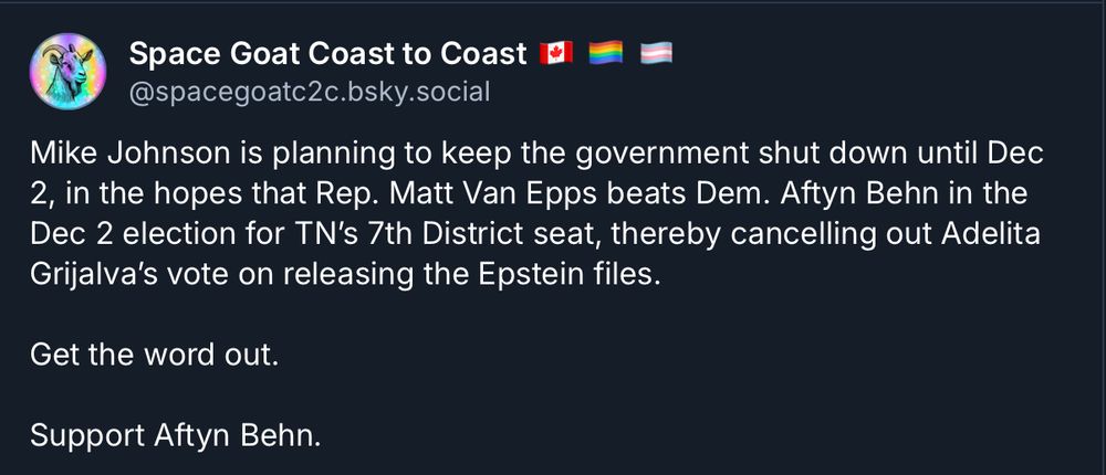 Mike Johnson is planning to keep the government shut down until Dec 2, in the hopes that Rep. Matt Van Epps beats Dem. Aftyn Behn in the Dec 2 election for TN’s 7th District seat, thereby cancelling out Adelita Grijalva’s vote on releasing the Epstein files.

Get the word out.

Support Aftyn Behn.