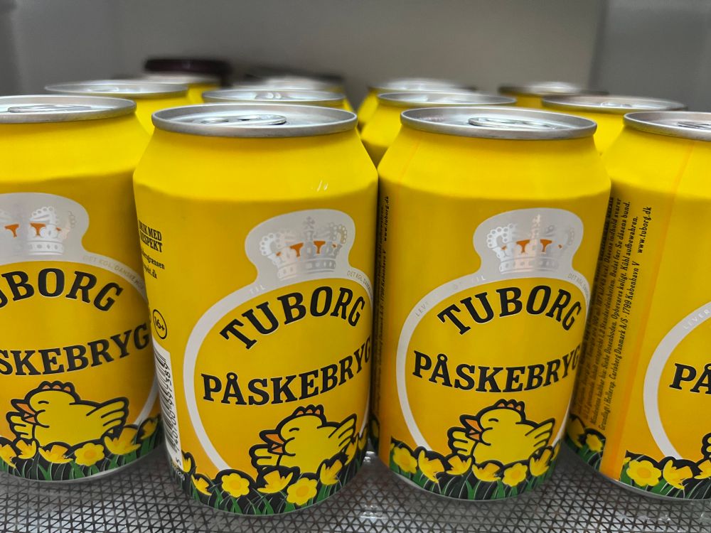 A fridge shelf full of Tuborg Påskebryg (Easter Beer) in distinctive yellow cans featuring a yellow chick and yellow daffodils. 