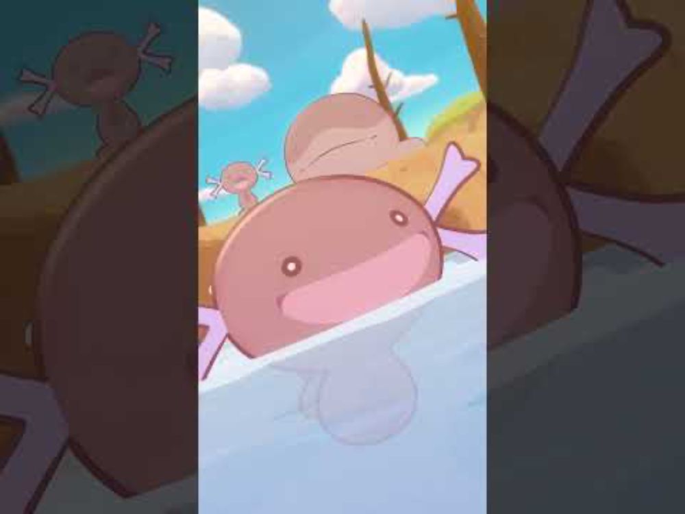 【公式】ポケモンアニメ「ドオー大量発生ちゅう？」【POKÉTOON】