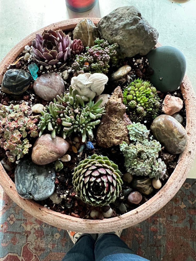 Little spring planting 