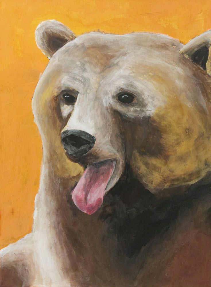 A brown grizzly bear with it's tounge out on an orange background.
