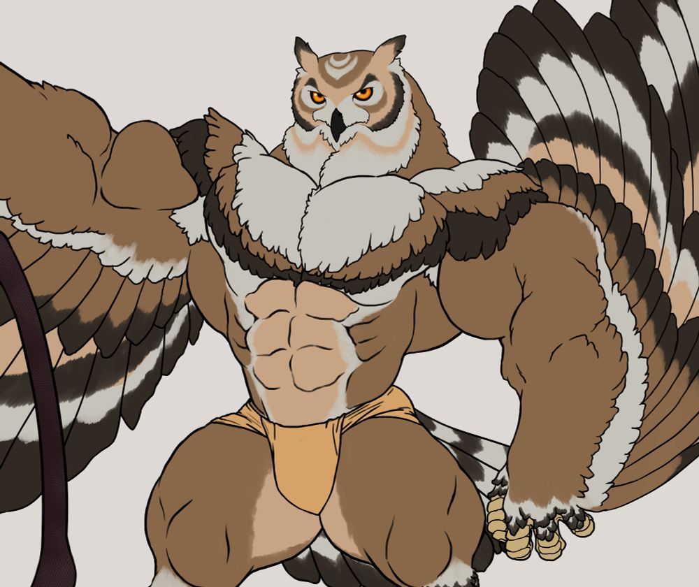 Close up of the buff, buff owl