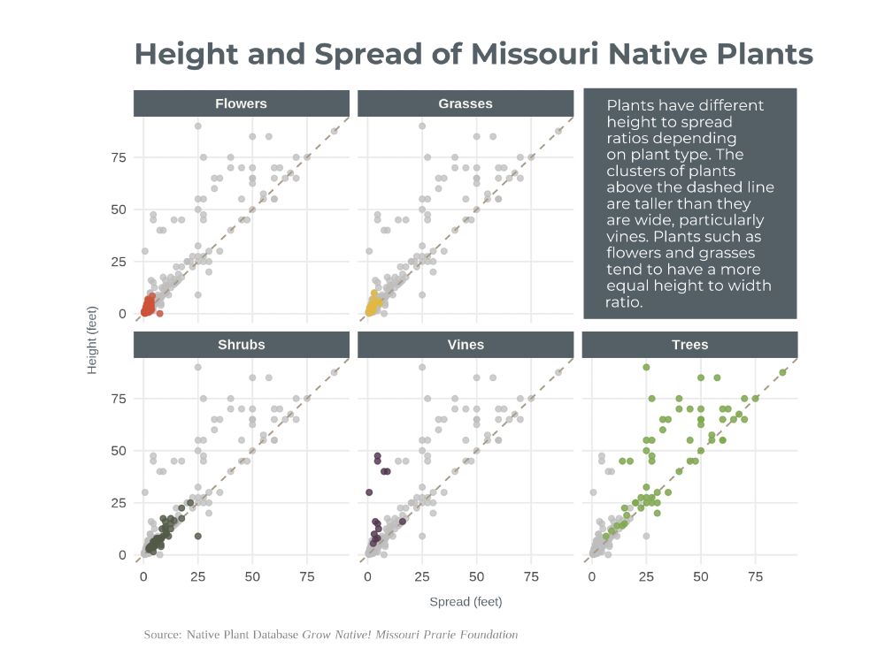 Plot showing height vs spread of Missouri native plants. The clusters of points show the different plant types (flowers, grasses, shrubs, vines, and trees).