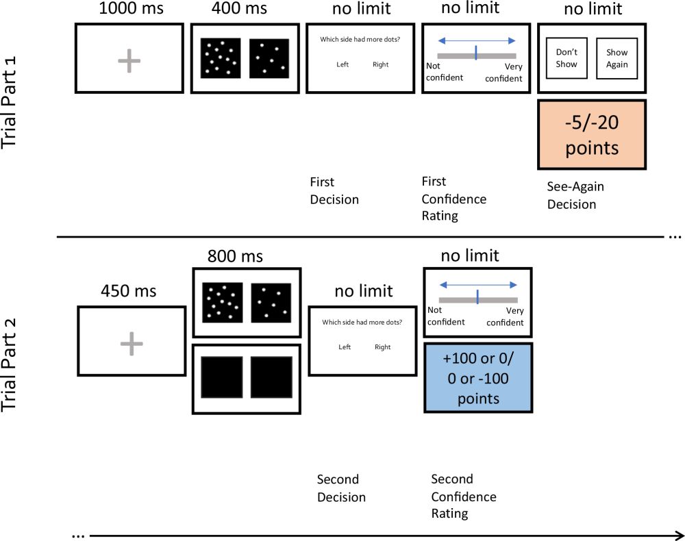 Information search under uncertainty across transdiagnostic psychopathology and healthy ageing