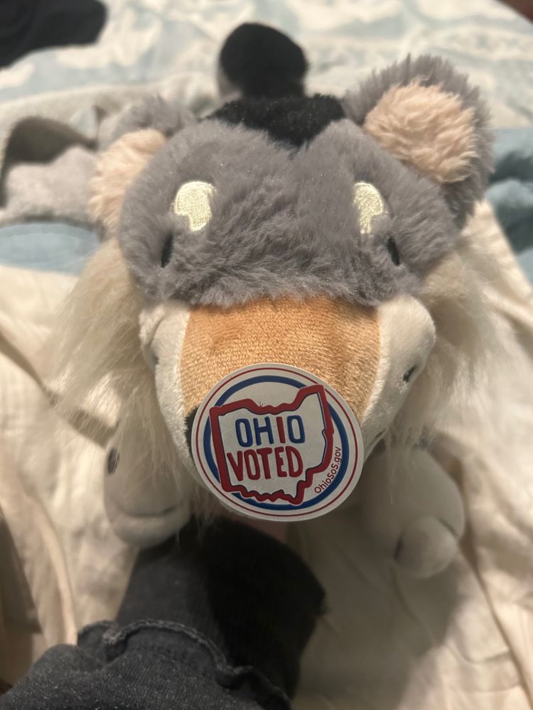 A grey, tan, and white weighted wolf being held by me and has an ohio voting sticker on his nose. He’s being held my me wearing a grey hoodie while i sit on my bed