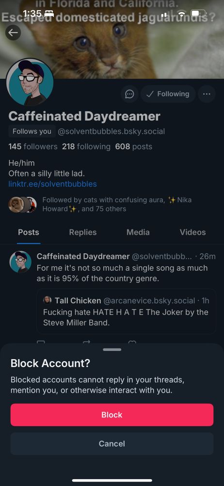 Screenshot of @solventbubbles’ bluesky account with the message “block account?” At the bottom. 