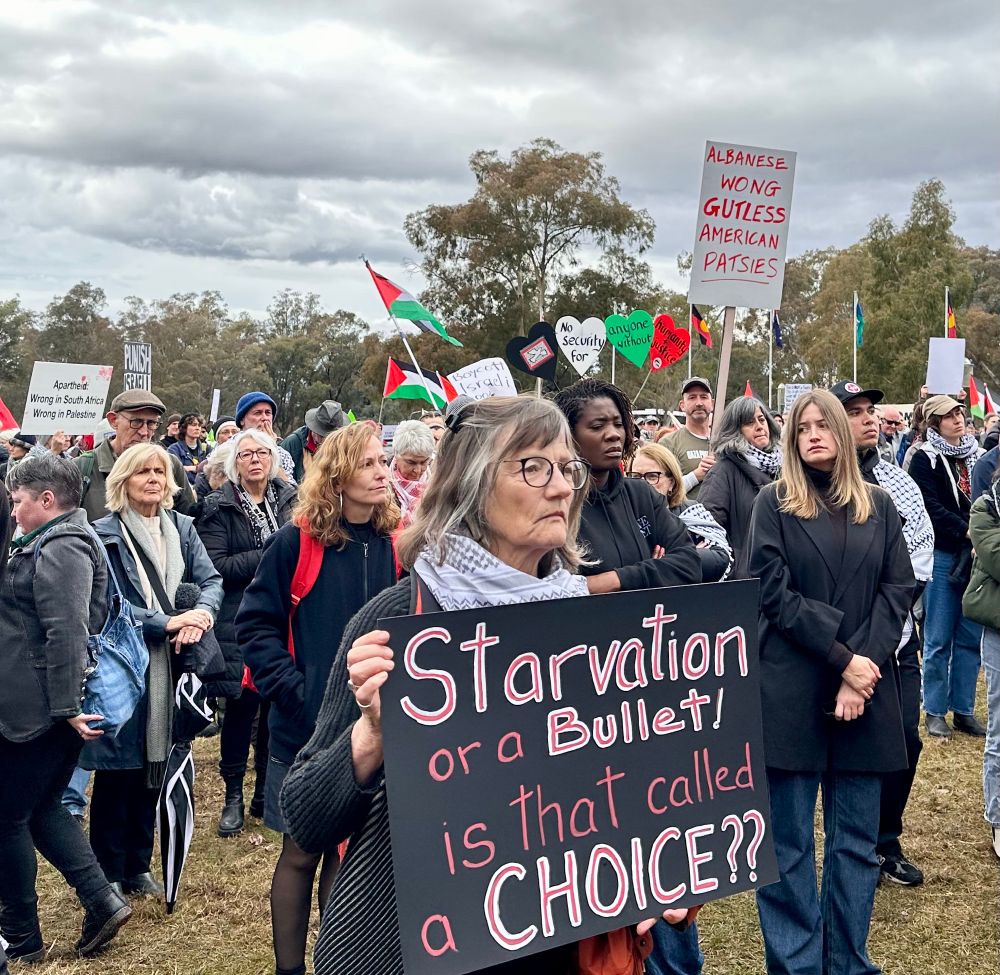 Woman at a rally for Palestine holding a sign saying ‘Starvation or a bullet; is that called a choice
?’
