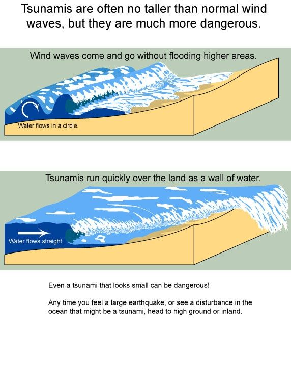An image comparing rolling wind waves and tsunami waves. 
On the top it reads: Tsunamis are often no taller than normal wind waves, but they are much more dangerous. 
The first image reads: Wind waves come and go without flooding higher areas. Water flows in a circle.
The second image reads: Tsunamis run quickly over the land as a wall of water. Water flows straight.
At the bottom it reads: Even a tsunami that looks small can be dangerous! Any time you feel a large earthquake, or see a disturbance in the ocean that might be a tsunami, head to high ground or inland.
