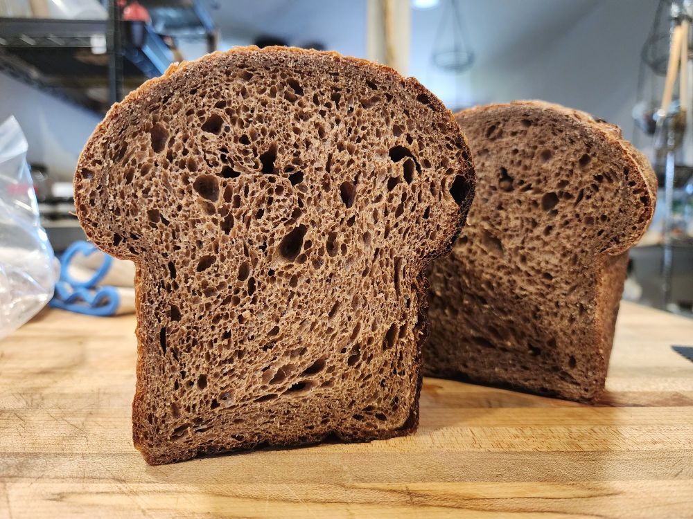 Big, poofy sourdough rye, the crumb shot.