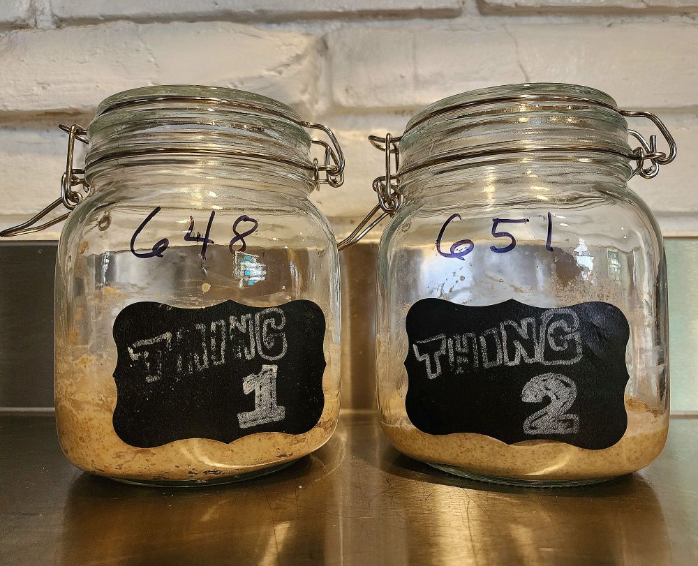 Two jars of sourdough starter, labeled Thing One and Thing Two, sitting on a stainless steel table in front of a white brick wall