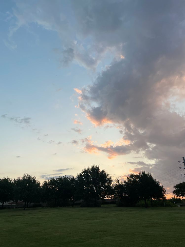 An early morning sky, the clouds are tinged with pink. 