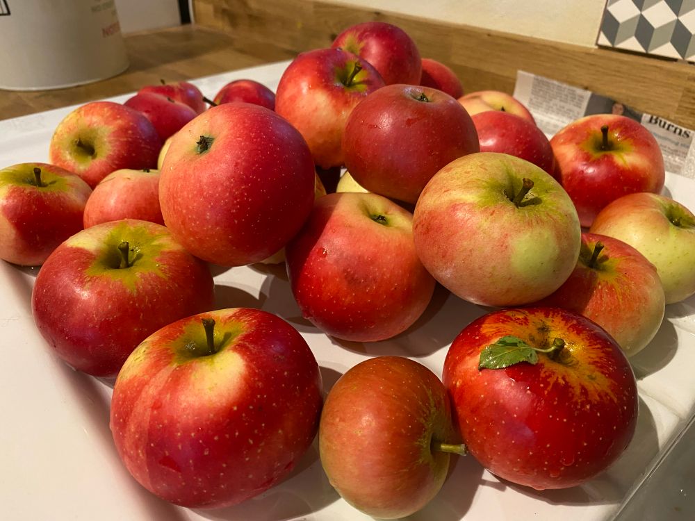 A pile of fresh red apples on a white ceramic draining board.