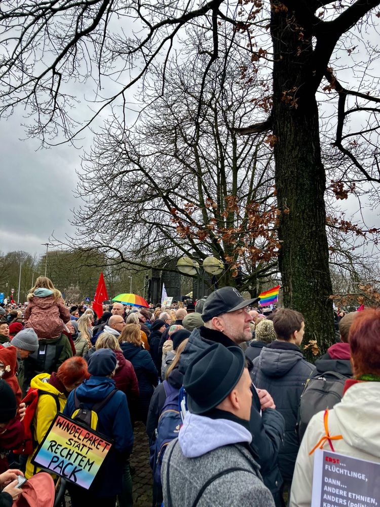 Demo um den niedersächsischen Landtag gegen die „afd“ und für unsere Demokratie