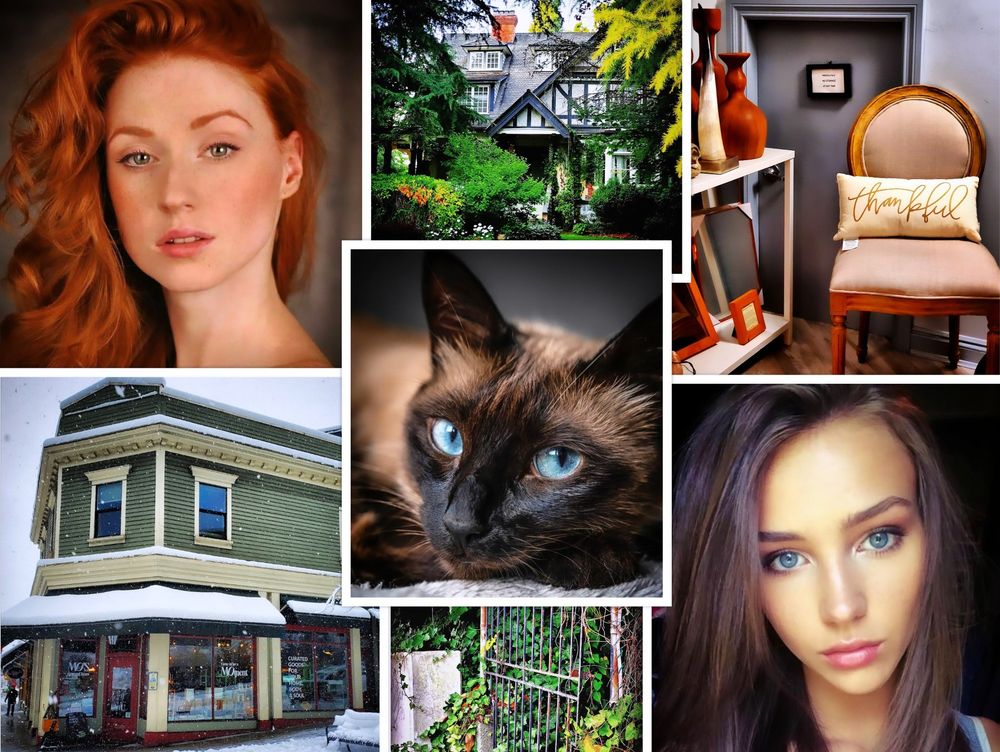 Red-headed woman, Dark-haired woman, Siamese cat, an iron gate smothered in ivy, a chair in front of a shortened door, a historical storefront in the snow. 