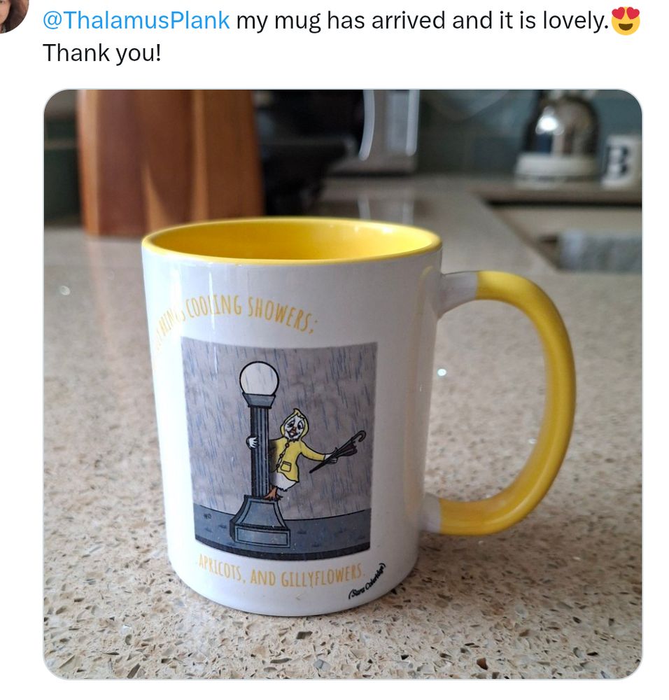 White mug with illustration of a duck dancing on a lamp post in the rain, with the Sara Coleridge quote 'Hot July brings cooling showers; apricots, and gillyflowers' 