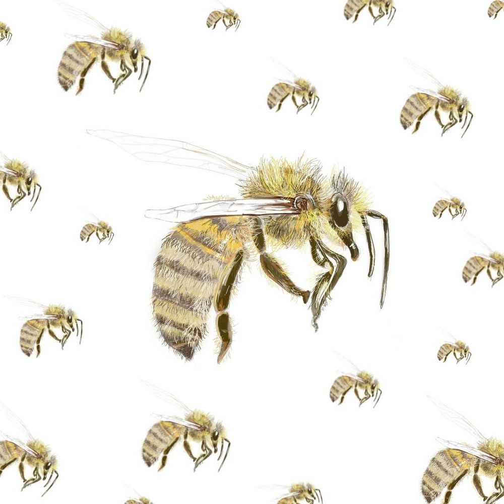 Bees