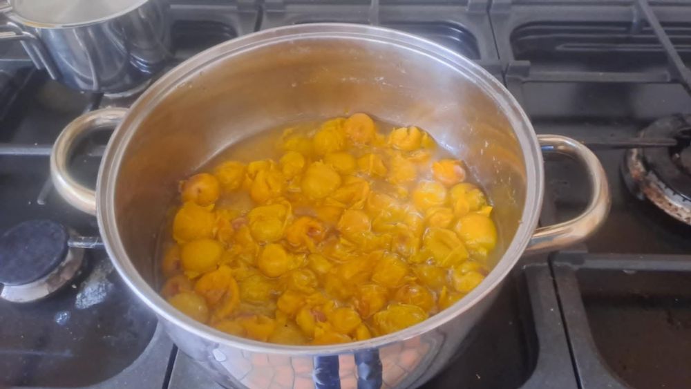 Making mirabelle plum compote today