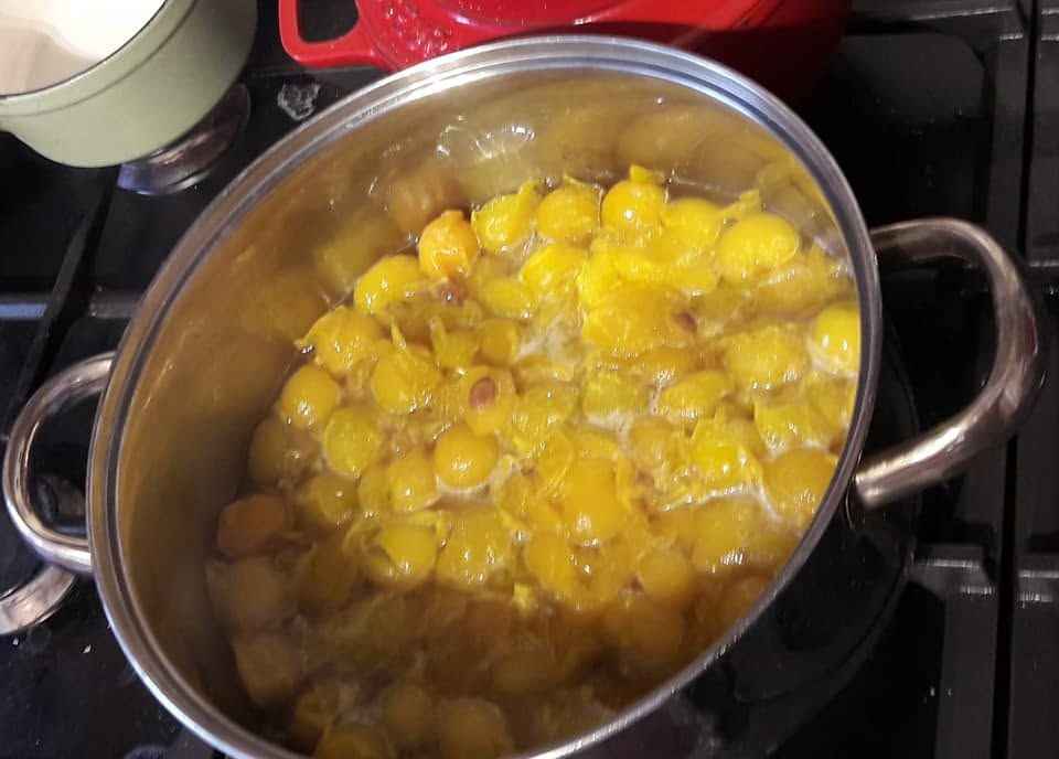 Mirabelle plum compote on this day in 2022