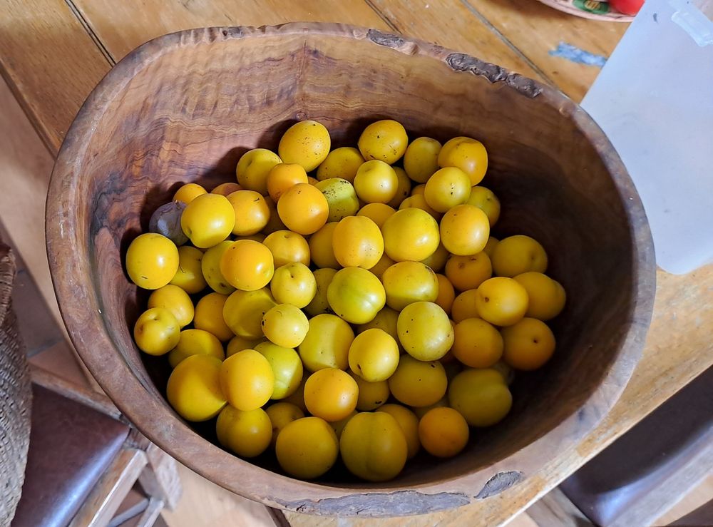 Mirabelle plums in a bowl