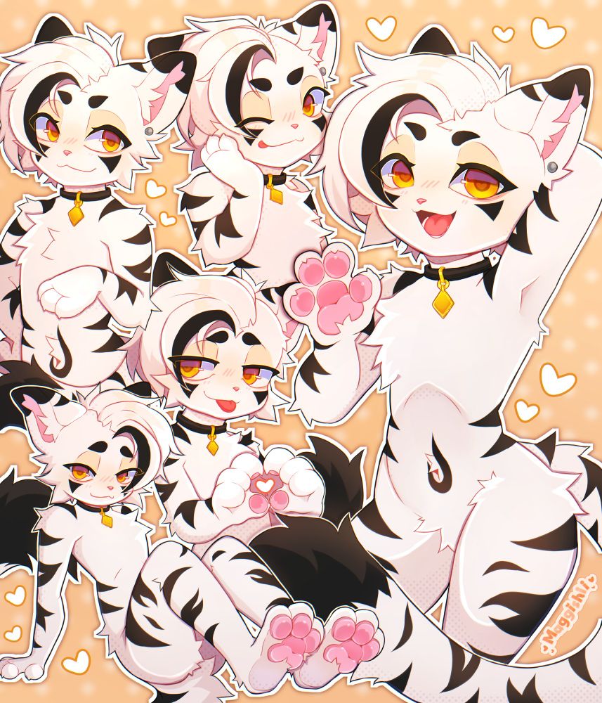 A white tigah doing several expressions and poses, like showing his paws, doing a heart symbol with his paws, etc