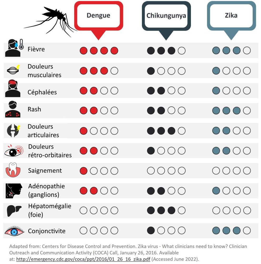 Symptômes (avec une représentation de leur fréquence) de la dengue, du chikungunya et du Zika.