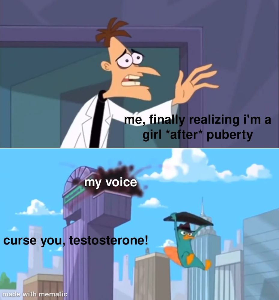 trans meme made from phineas and ferb.

frame 1 has dr doofenshmirtz looking unhappy after one of his inators didn't work. captioned "me, finally realizing i'm a girl *after* puberty"

frame 2 has perry the platapus gliding from the exploding dei tower, with the explosion itself captioned "my voice". a second caption says "curse you, testosterone!"