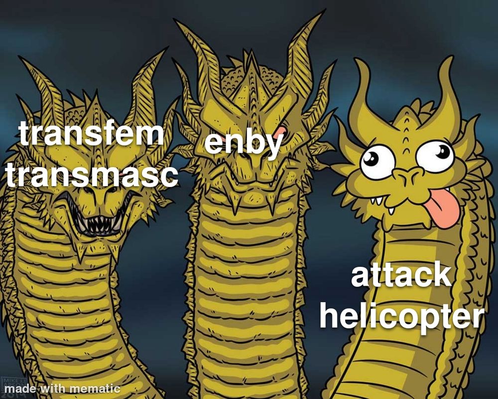 trans meme of the three headed dragon.

left head: transfem and transmasc
middle head: enby
goofy right head: attack helicopter