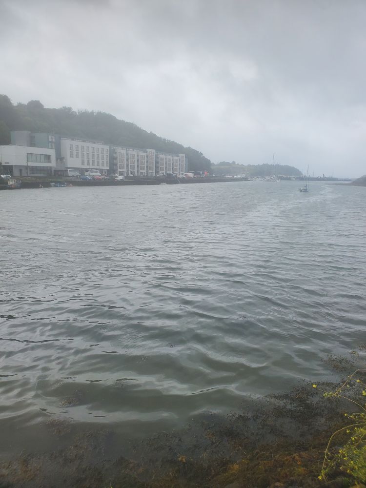 Bantry Bay on an overcast day.
