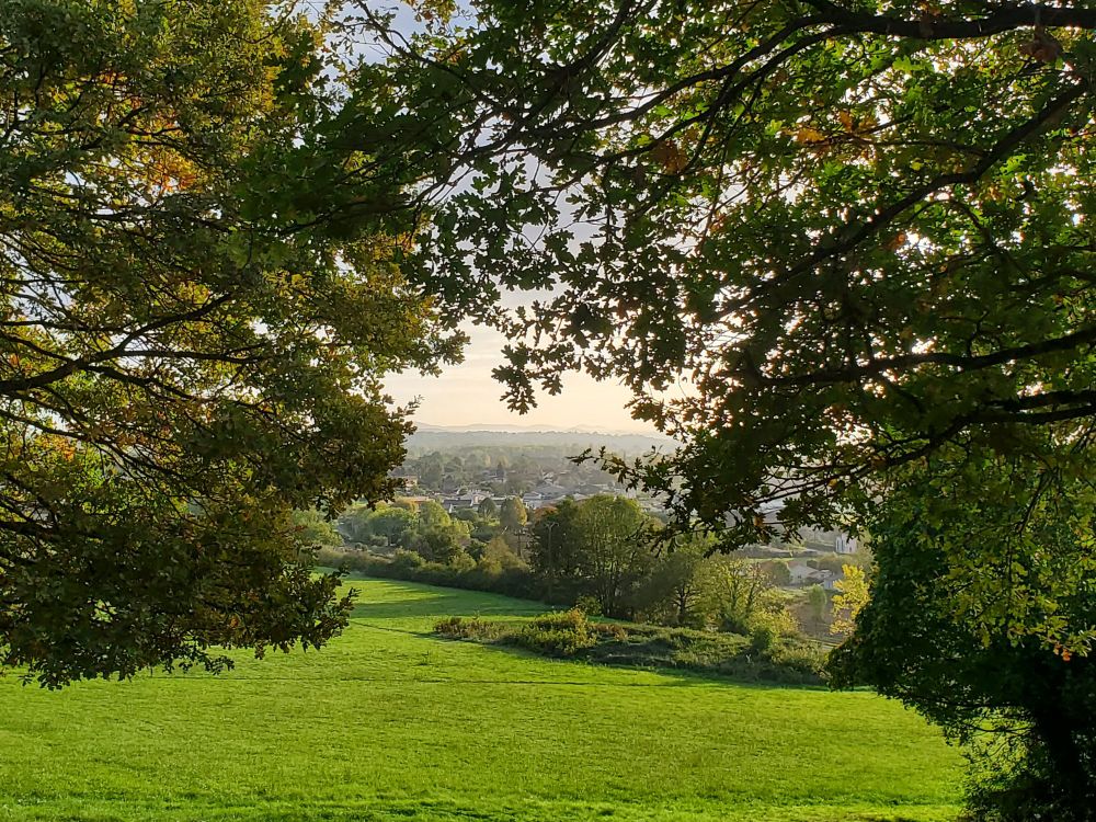 Deux arbres verts encadrent la photo, on voit la pelouse bien verte au premier plan, la ville au loin et le ciel pastel du matin (et une ligne de montagne si on regarde bien)
Comminges 