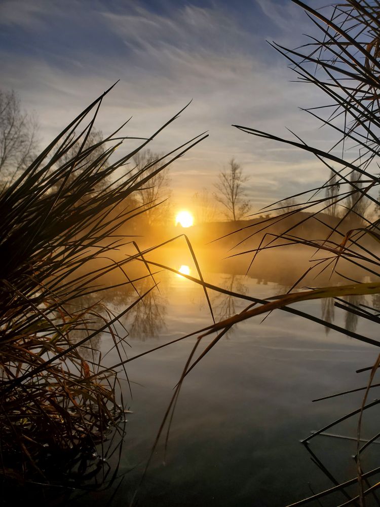 Photo de soleil levant et brillant se reflétant dans le lac, encadré par des herbes 