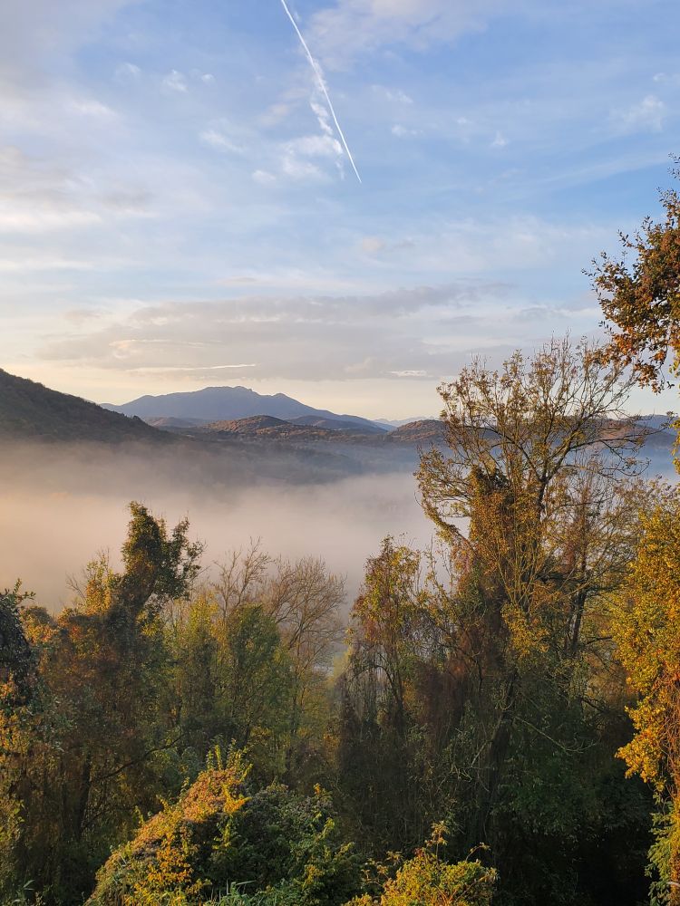 Photo d arbres d'automne 
Puis de la brume et au loin des Pyrénées et le ciel du lever de soleil, avec quelques nuages 