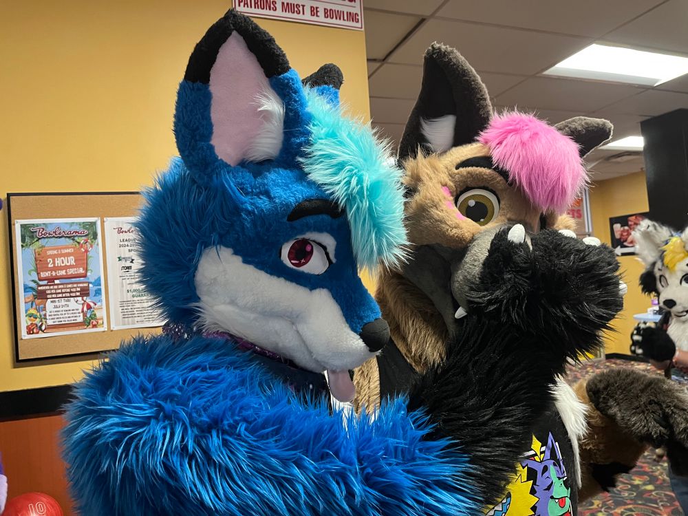 Atu putting his paw on Jax’s snoot