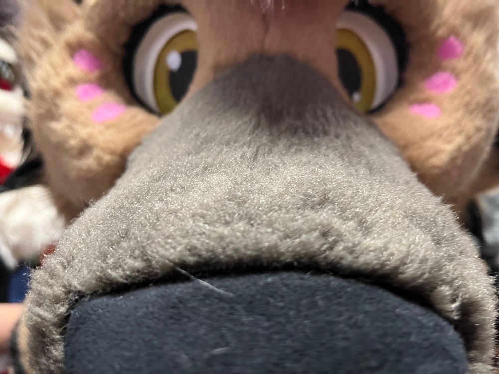 Jax wants to know if you have games on your phone.