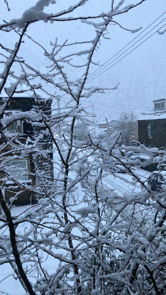 Another view of a snowy street and tree. 