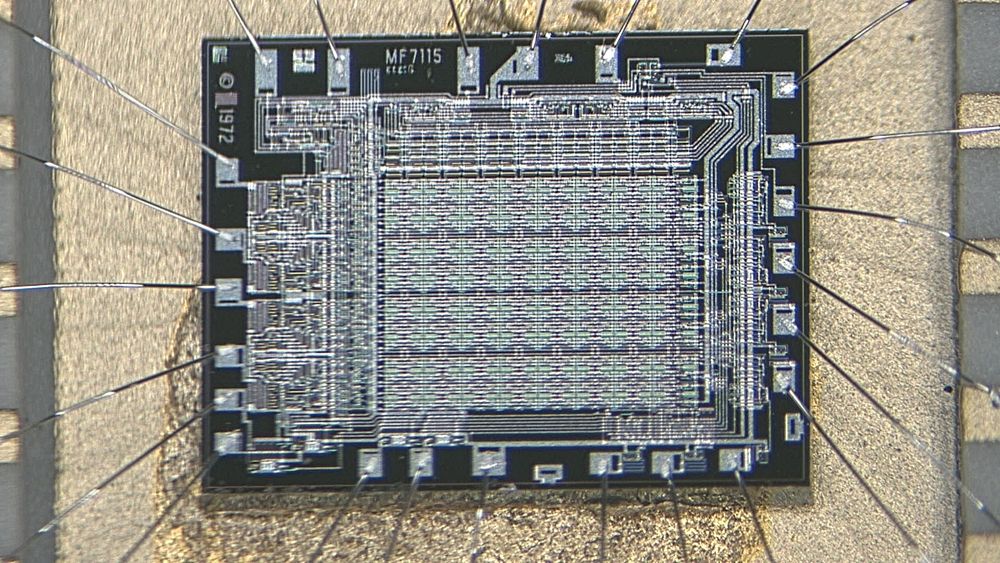 This is a die shot of the Microsystems International Limited (MIL) MF7115 RM chip. #vintagecomputer #retrocomputer
