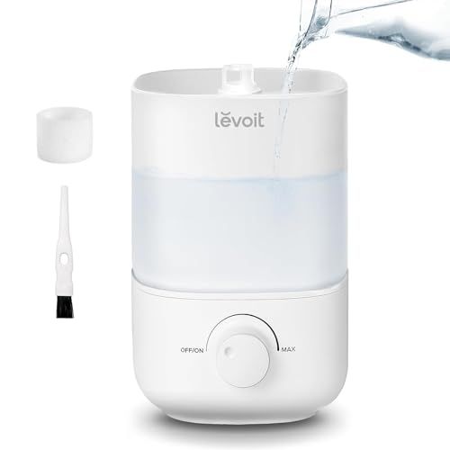 Best Humidifier for Dorm Room: Top Fill, Quiet, and BPA-Free Options