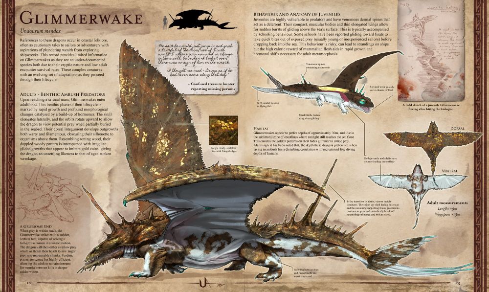 A kind of field notes record put together of information abotu an aquatic dragon called a glimmerwake. Its a hefty dragon that has features of animals like wobbygongs, stonefish, and flying fish. It includes a profile image of the dragon as well as the slimemr juvenile form, a dorsal and ventral image and sketches from the 'biologist' investigating the dragon.