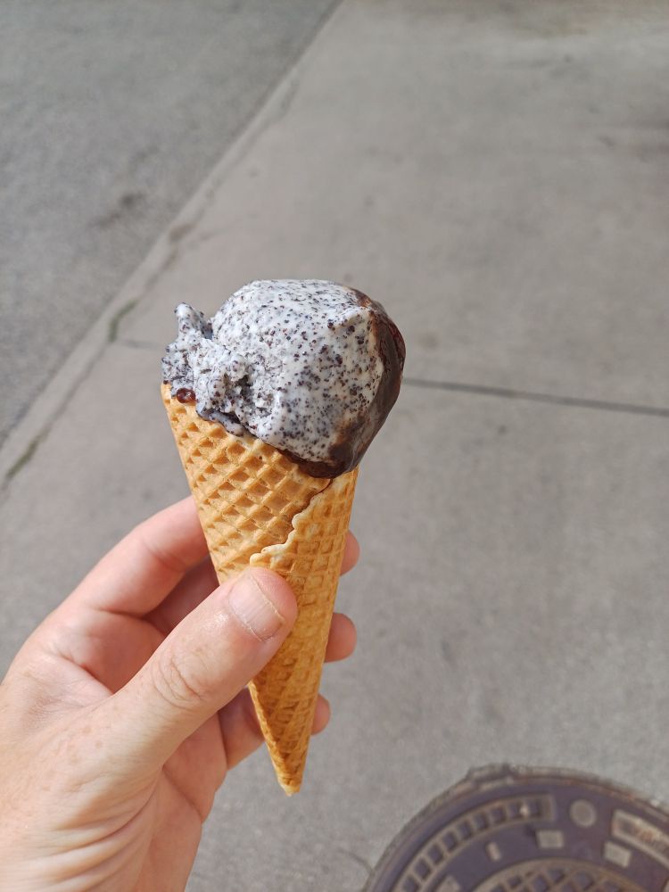 Hand die Eiswaffel mit 1 Kugel Germknödeleis hält