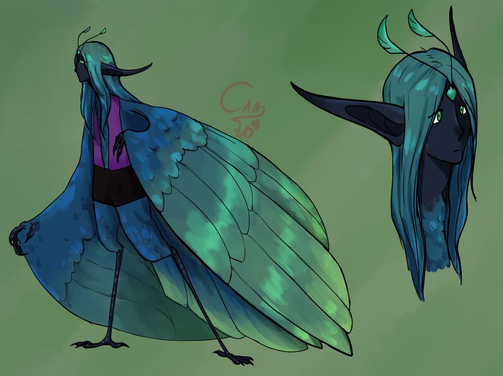 The character reference of a harpy boy with long elven ears, and antennal like appangages from his forehead. His skin is dark gray, as his feathers and hair have a dark blue to mint gradiant color. 