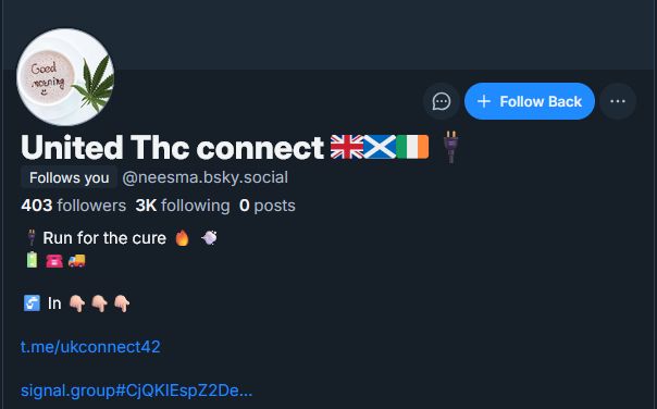 A screenshot of the Bluesky account "United Thc connect", which is following me.