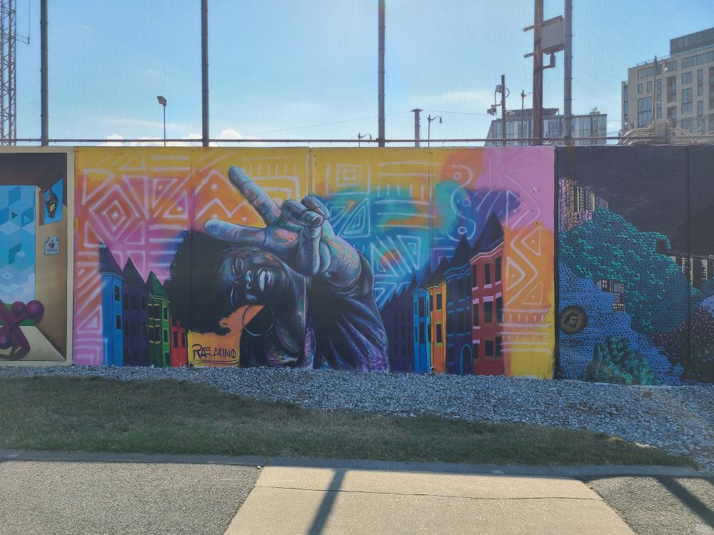Gorgeous mural of a smiling Black woman with DC rowhouses in the background by Rae Akino, Seattle and D.C. based, self-taught visual artist. The mural is along DC's Metropolitan Branch Trail.