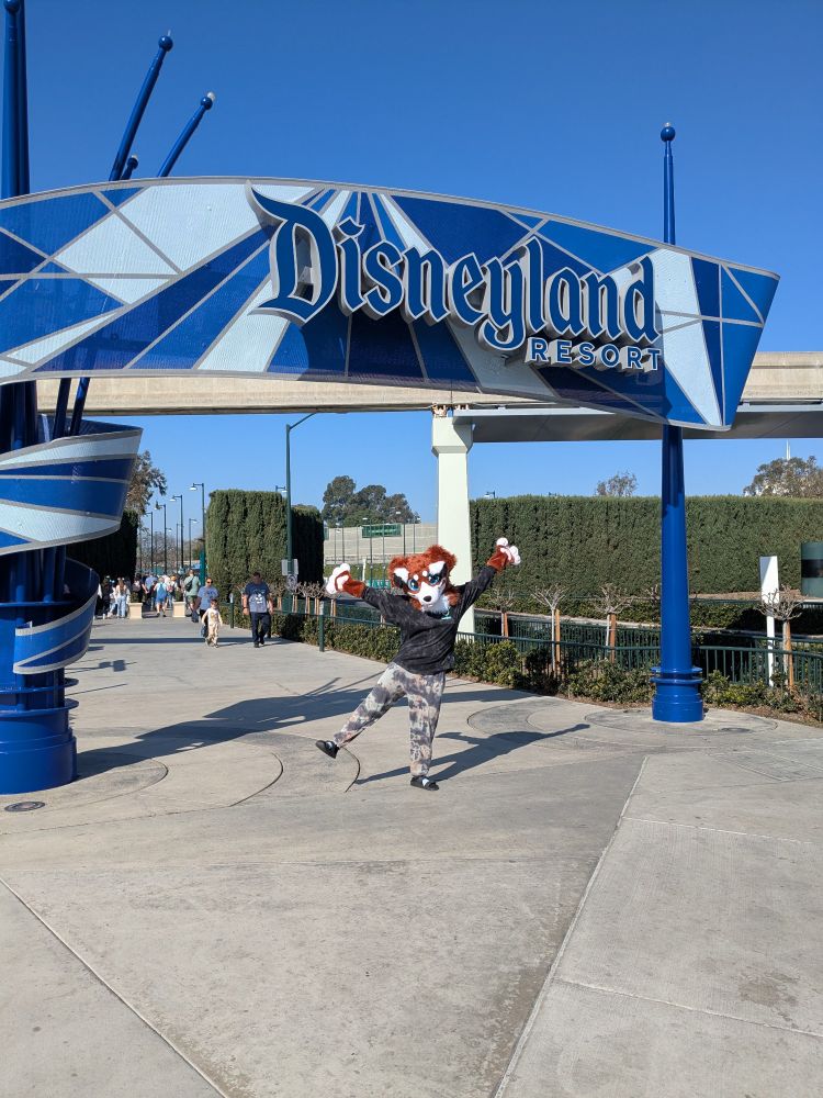 A stinky Kelpy stands under the entrance for Disneyland before Mickey Mouse tackles them to the ground
