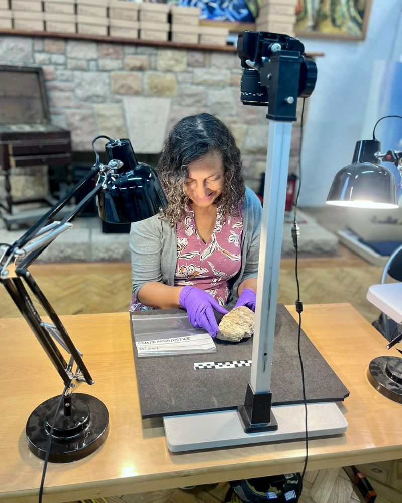 A woman sitting at a desk. She wears purple nitrile gloves and is placing an artefact ready for photography under a camera mounted above her. She is lit by multiple desk lamps that illuminate the nondescript artefact.
