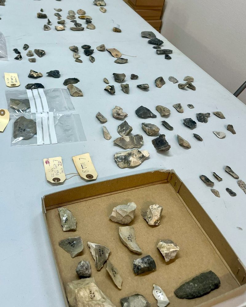 Grey and black pieces of flint laid out on a table in neat rectangular sections. Clear plastic bags and old-looking labels sit between the ordered sections.