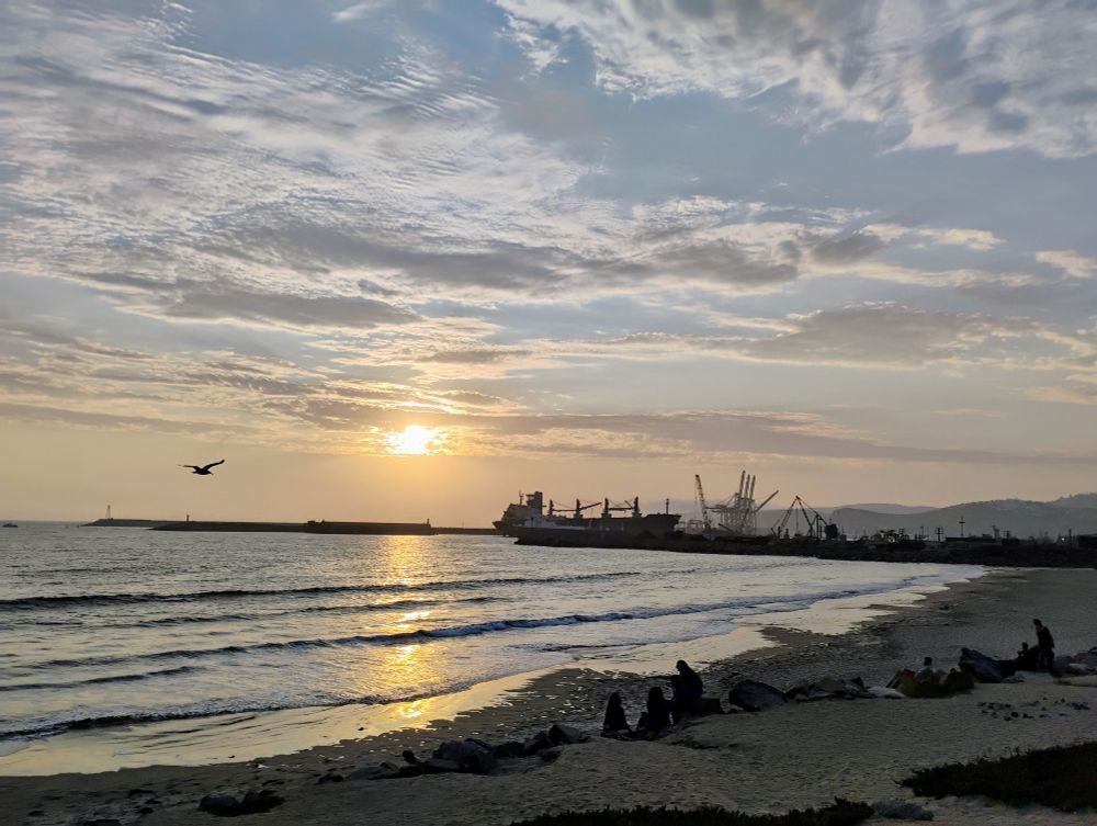 Photo of sun setting on a beach with a bird flying by.