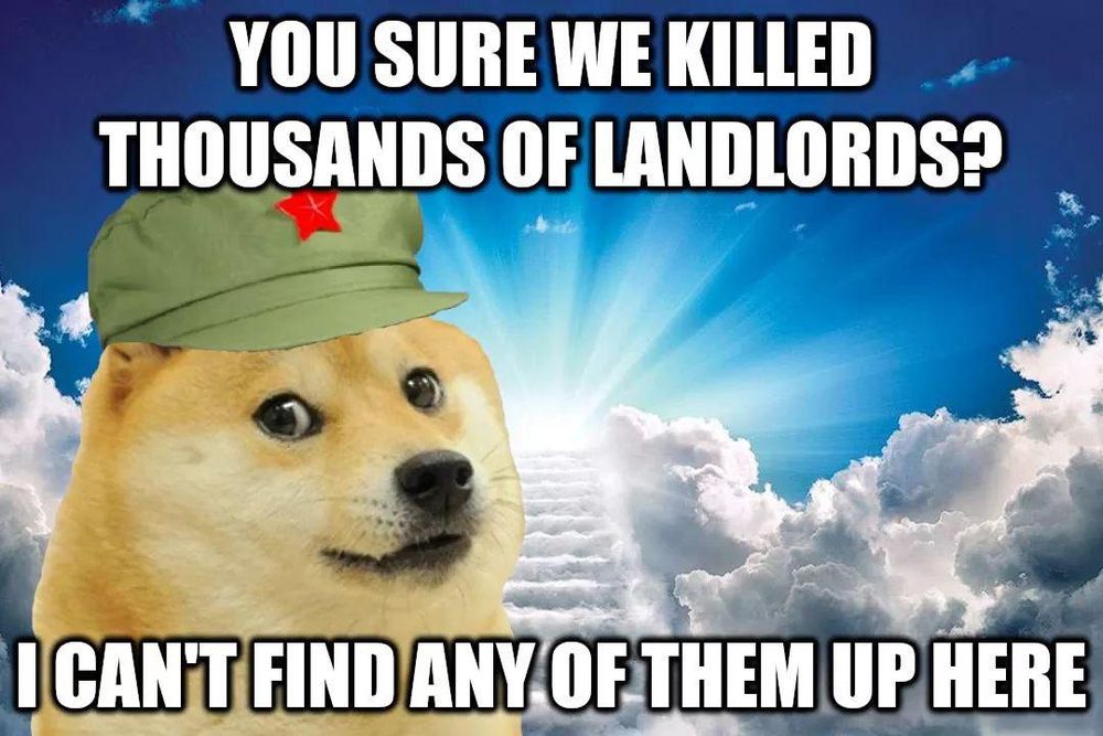 A shiba inu wearing a green cap with a red star sits before the gates of heaven. Caption reads "You sure we killed thousands of landlords? I can't find any of them up here"