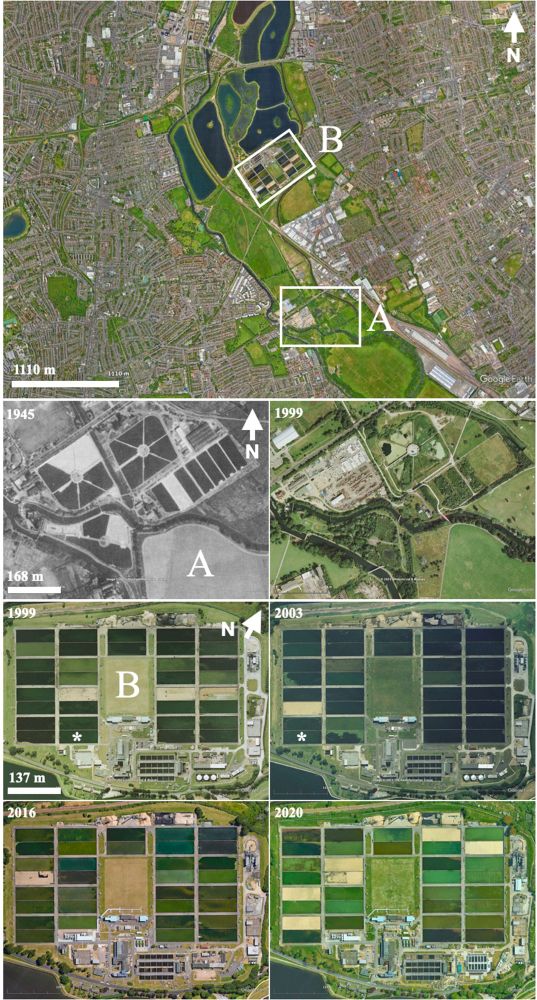 The invisible city: The mundane biogeographies of urban microbial ecologies